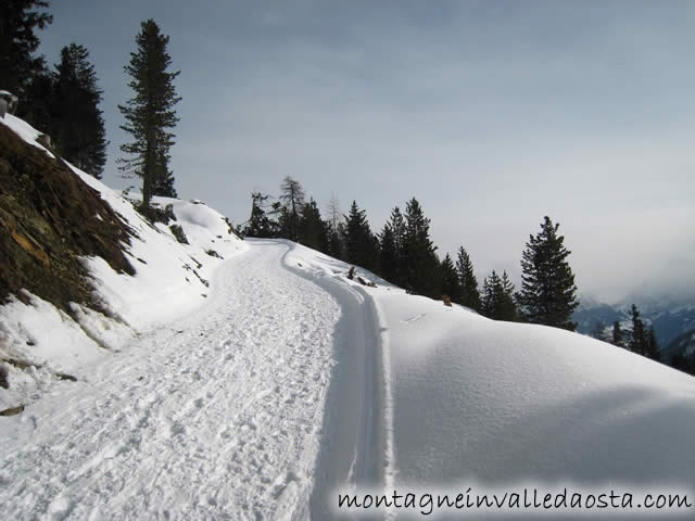 monte muro